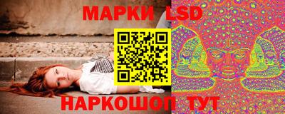 мдпв Шелехов